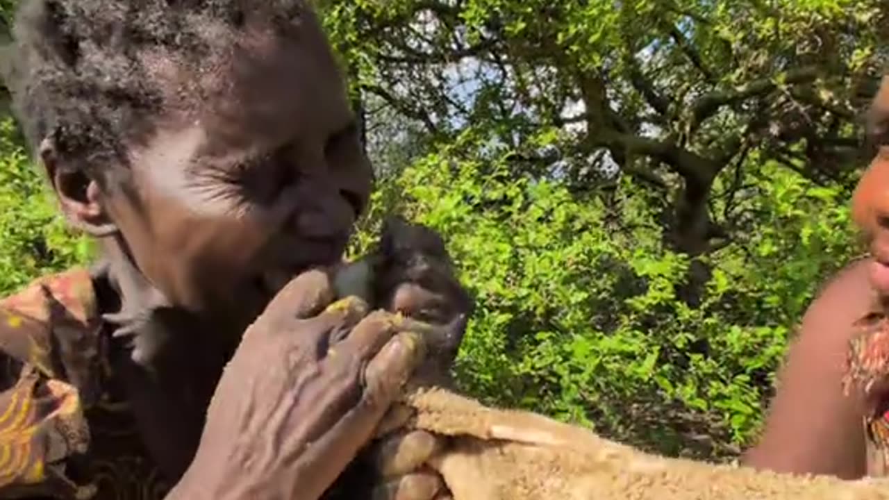 Raw meat is one of favorit meal in tribe see how hanza enjoys their food 🤤😧