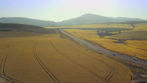 plain of harvest