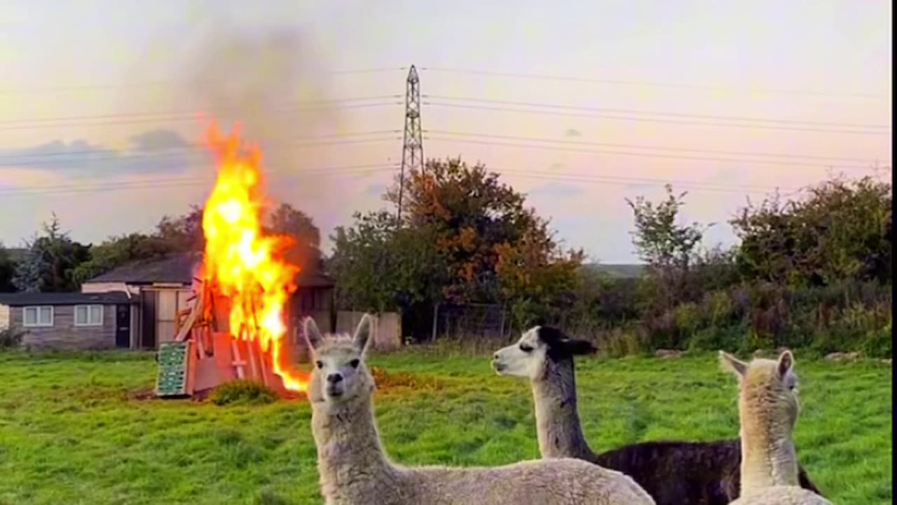 did they start the fire..😳