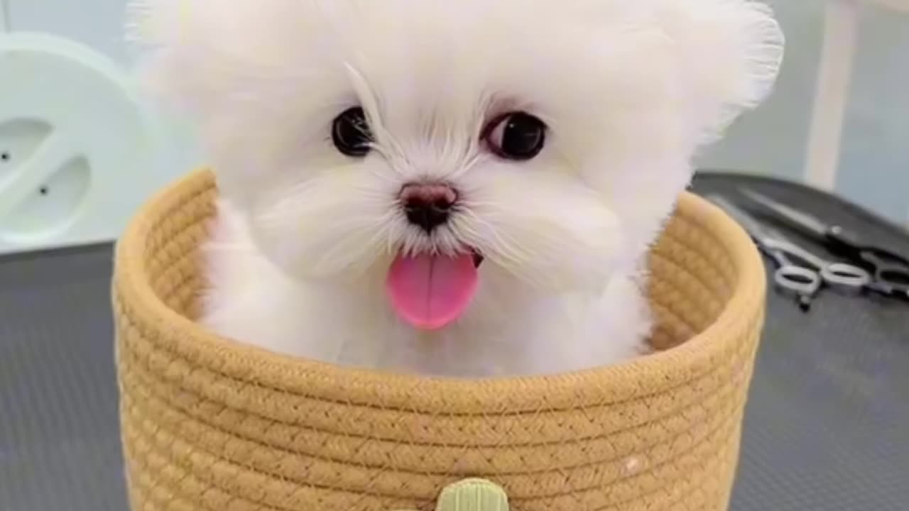 Beautiful 🥰🥰🥰
