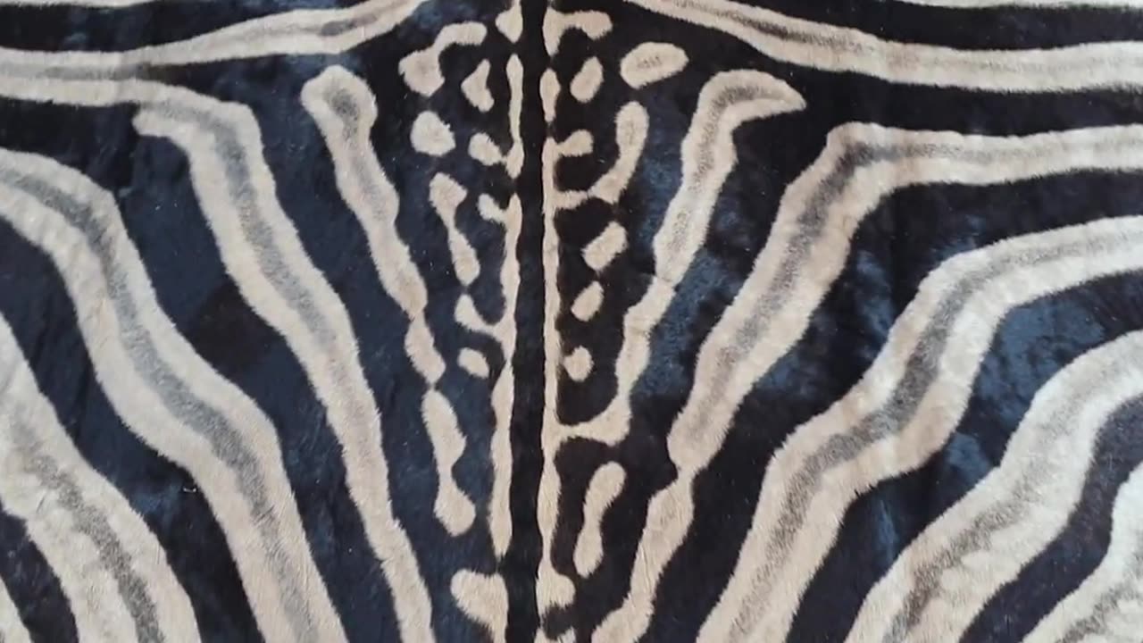 Felted Zebra Skin for client no7