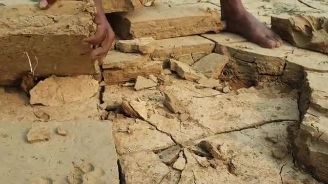 Unique fishing technique. Climbing perch in dry deep hole. UnSmall fish hunting in dry season