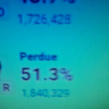 INTERNATIONAL WIDE ELECTION FRAUD VOTING MACHINE CRIME, GEORGIA RUNOFF SHAM ELECTION CRIME 63