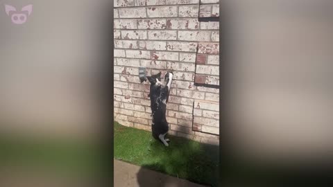 This Terrifying Footage Is Hiding a Chilling Secret