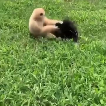 Long time so happy to see you my friend 😍