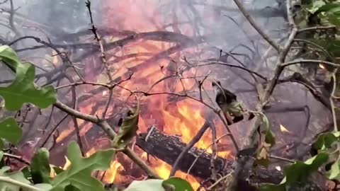 E Se Uma Estrela De Nêutrons Entrasse No Sistema Solar