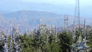 Senic view in the Smokies