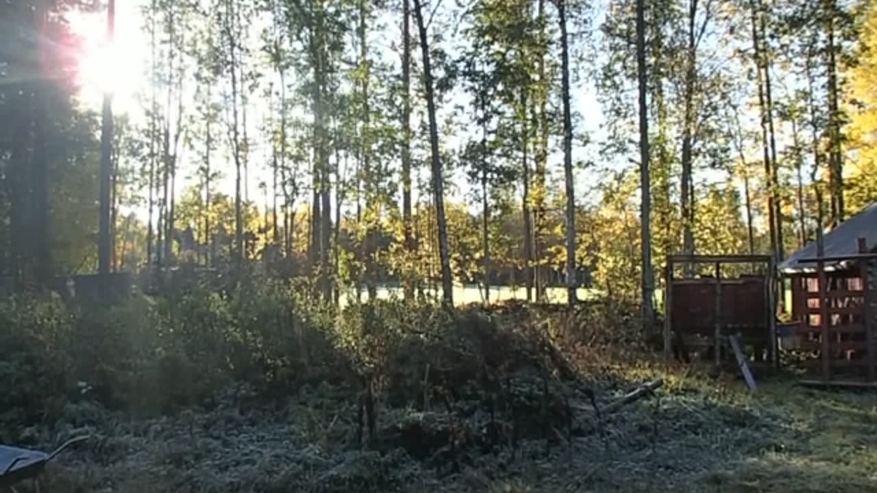 MIKSI SINÄ SUOSTUT TÄHÄN? MIKSI ET OTA IRTI?
