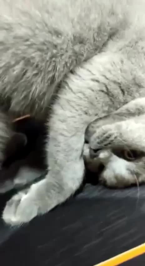 New Year New Me resolution down the drain 😂