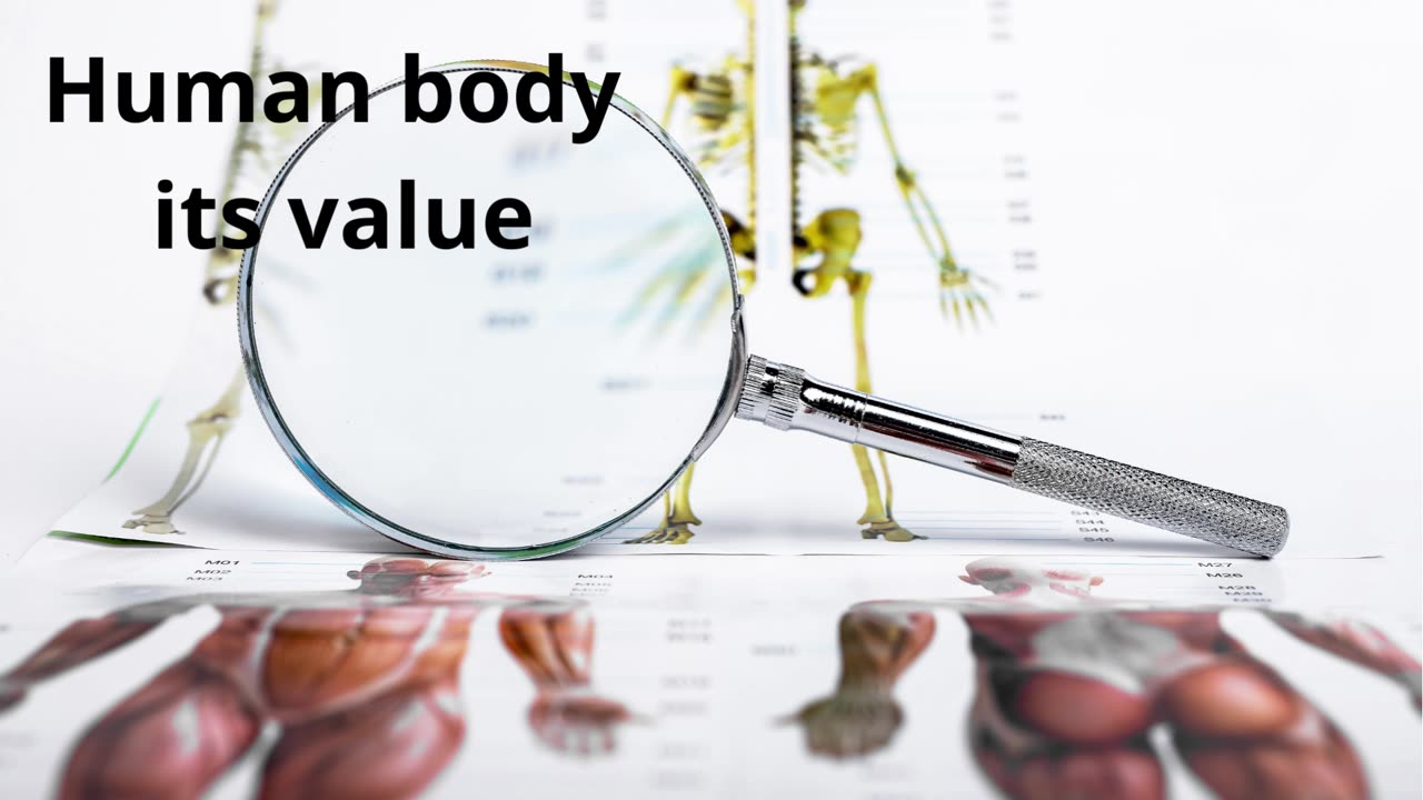 Human body its value