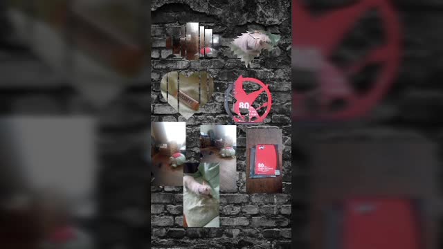 afternoon video