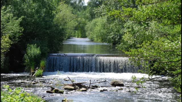 Help fall asleep with the sounds of nature