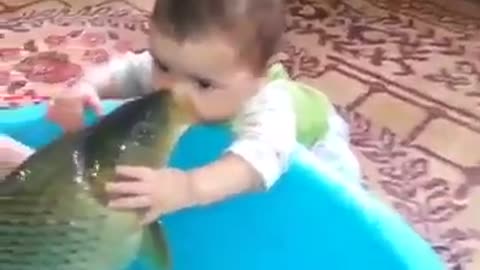 What is this beauty the child caresses the fish and the fish accepts him