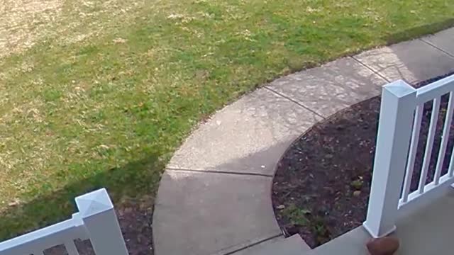 Funny SCARE PRANKS 😂
