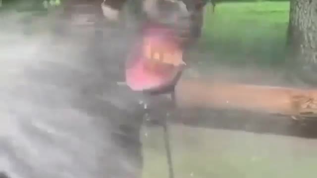 horses drink in a unique way