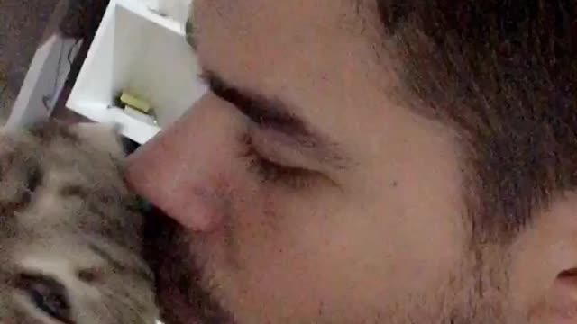 CAT DOESN'T ACCEPT KISS