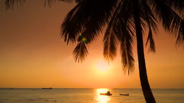 Meditation Lifestyle Relaxing Visualization Nature 30 Minutes