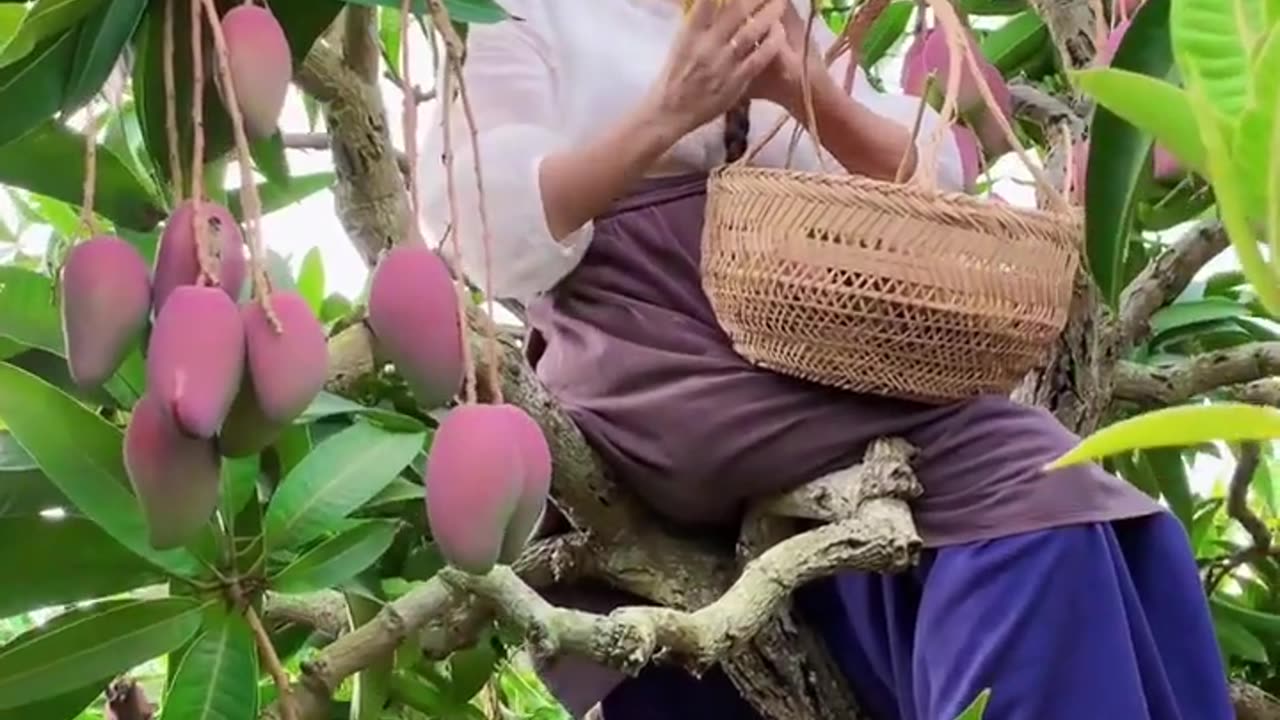 Enjoy nature life