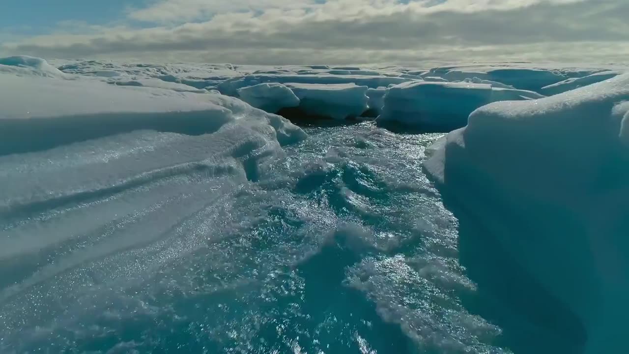 Life on Our Planet 2. Bölüm