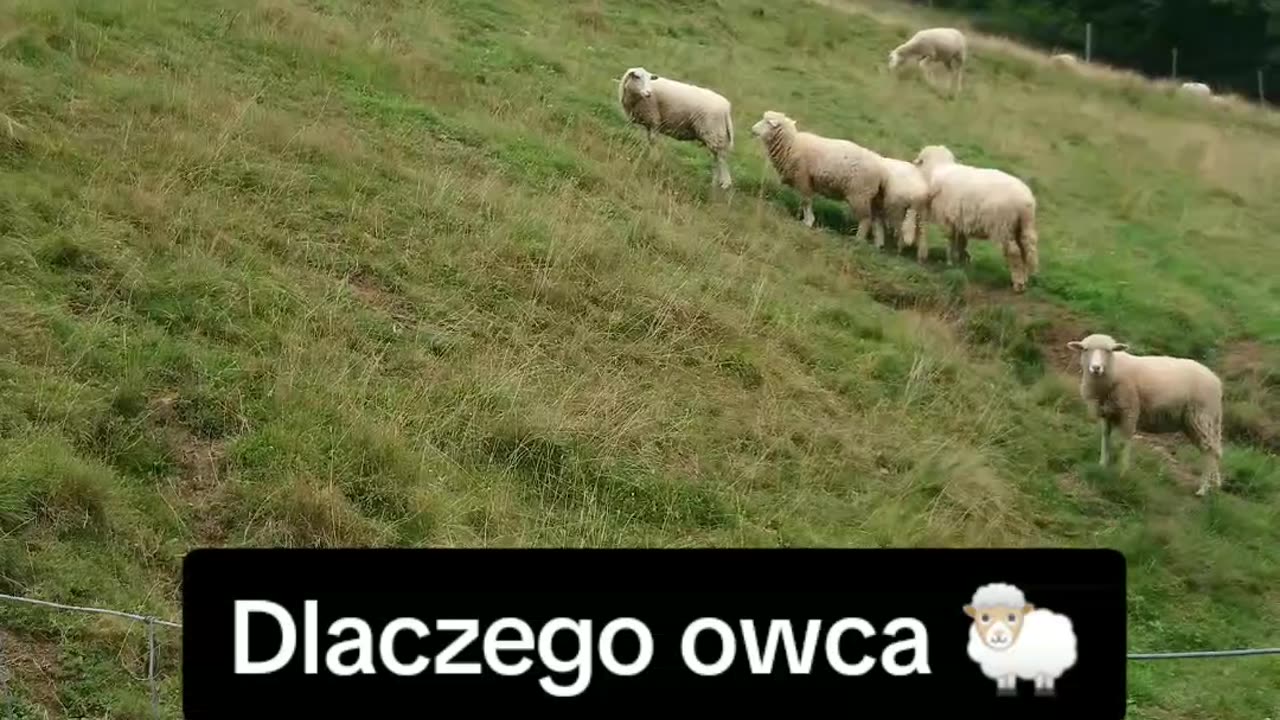 zgodne małżeństwo