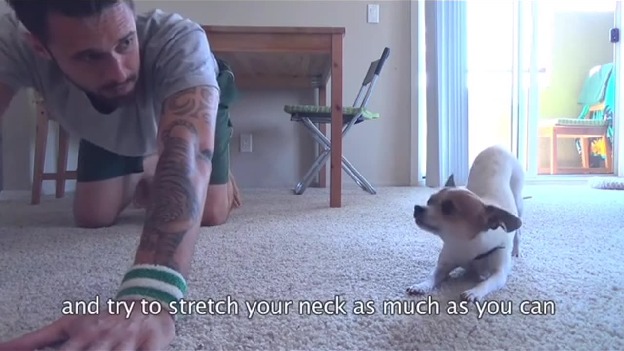 Cute puppy doing yoga with his owner!! this is so cute