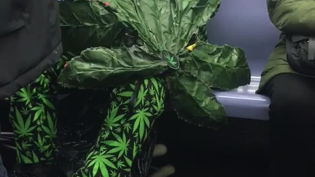 Old man dressed as giant weed leaf on subway train