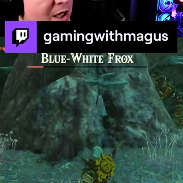 It's a bog oak, you can't hurt it! | Legend of Zelda: Tears of the Kingdom | game play | episode 76