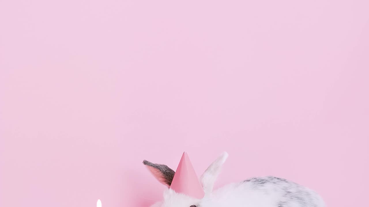 Cute Bunny Wearing a Party Hat Next to a Cupcake