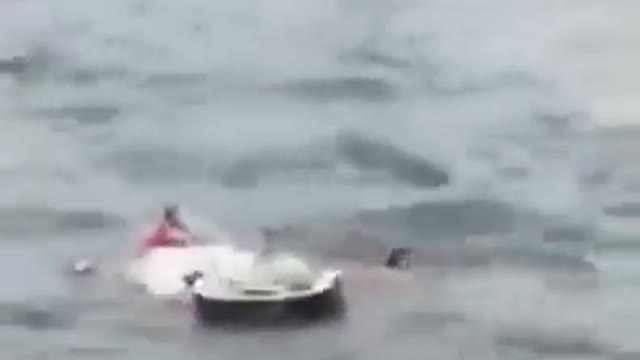 Beautiful video in water