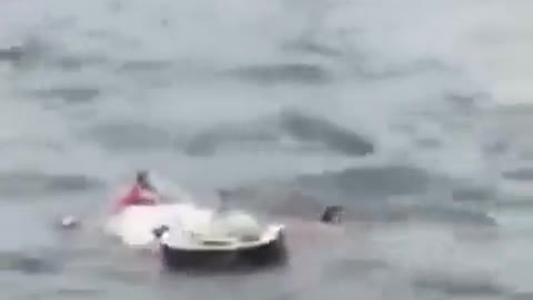 Beautiful video in water