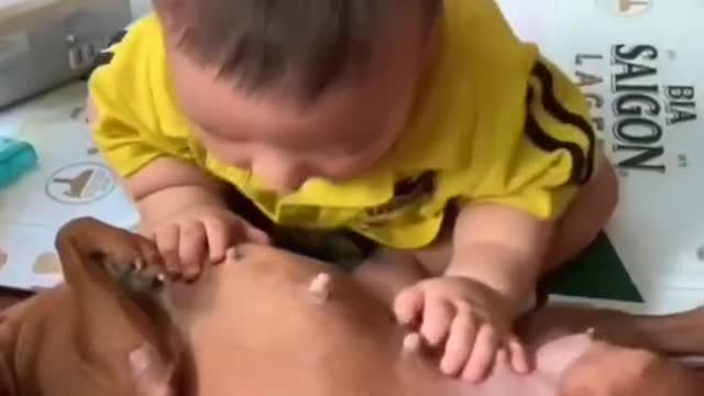 Virat cute baby funny videos