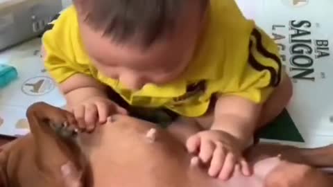 Virat cute baby funny videos