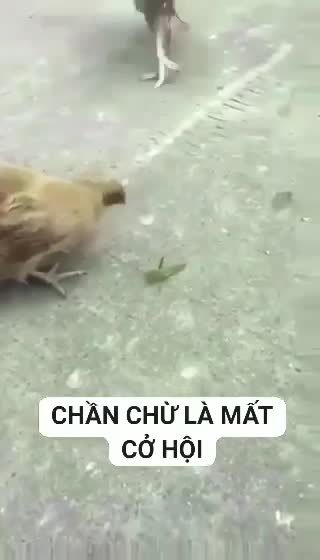 fast like lightning.Slow is lost😝