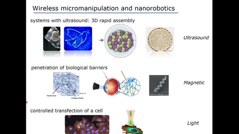 Microsystems & Nanorobots Actuated by Light, Magnetic Fields, & 3D Ultrasound - Prof. Peer Fischer directs the Micro Nano and Molecular Systems Lab at the Max Planck Institute for Intelligent Systems