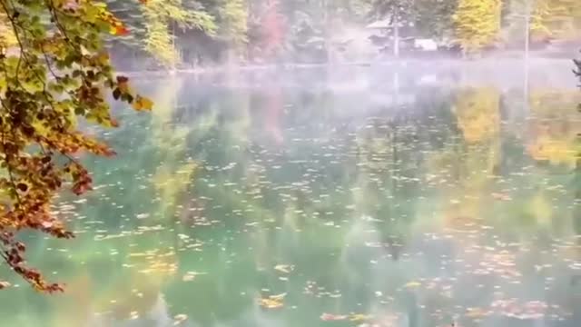 Blausee Lake - Switzerland