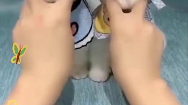 🐶 Cute puppies | Funny Dogs Videos Compilation 04 #shorts