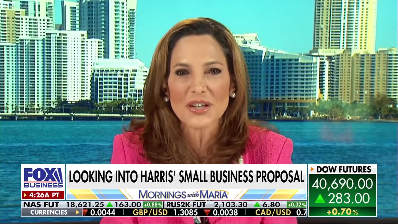 'DISASTER': GOP rep grills Kamala Harris' small business proposal