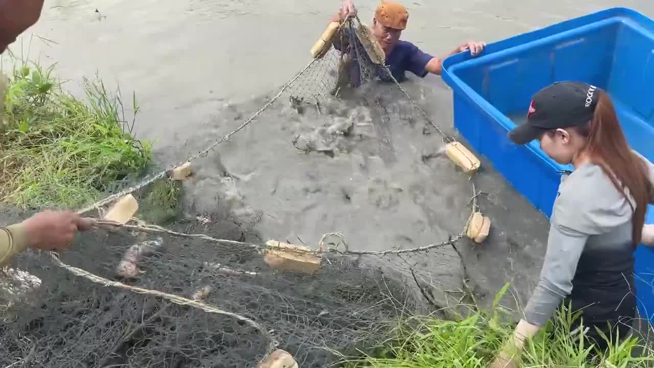 First Time Girl Cast Net Fishing DEFEATED By MONSTER Fish!-18