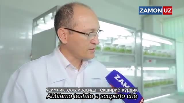 Si stanno preparando per inserire i vaccini Covid nella verdura e nel latte