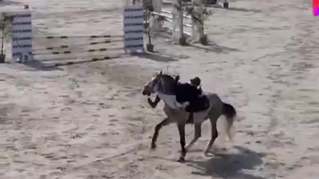 How to ride the horse 🐴🐎 training funny