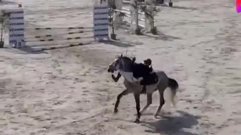 How to ride the horse 🐴🐎 training funny