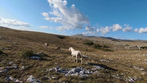 Aerial FPV drone shot of a chasing and flying