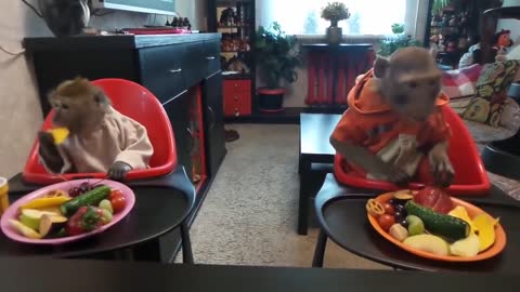 bring two monkeys to the restaurant