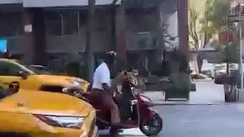 Cuts funny videos #viralvideo