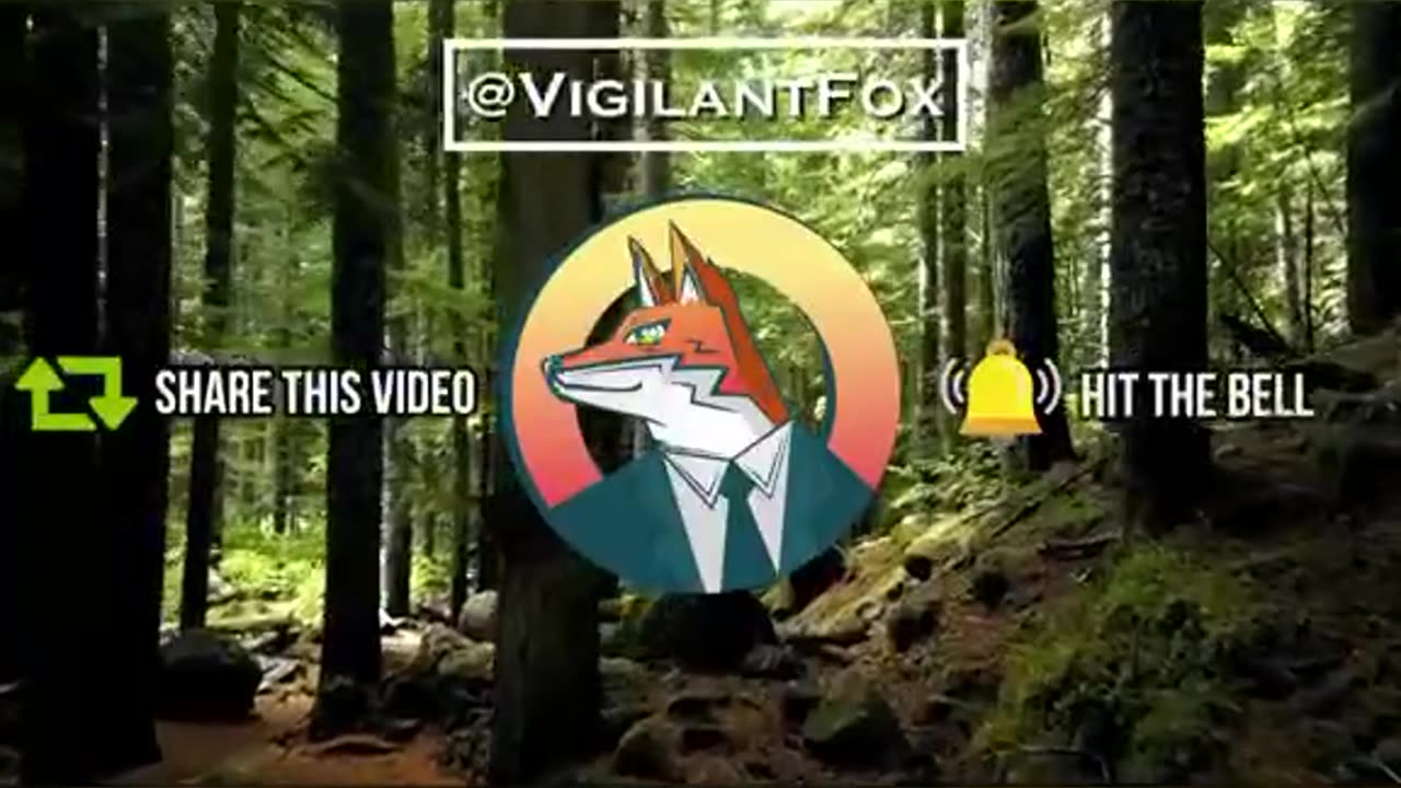 Steve Kirsch Testifies the TRUTH about ALL Vaccines‼️