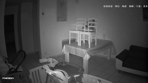 PARANORMAL look at the bottom of the video on the left it goes very quickly