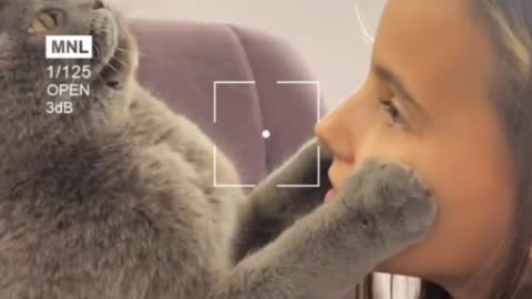 Noty cat 🤣🤣