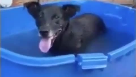 look at the joy of playing with water