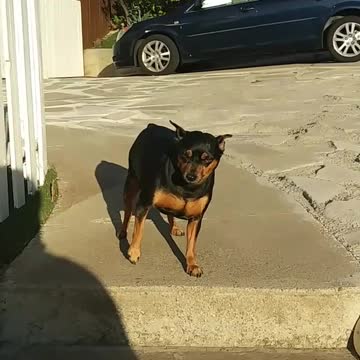 Rosie Afraid To Go Down The Stairs