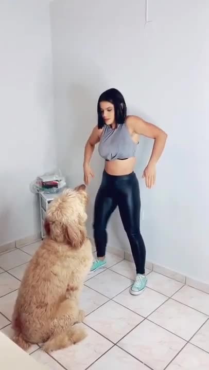 How interesting.. have you seen a dog do this!! Cute & Funny Animals Videos 🐕‍🦺 Pets, Dogs & 🐱 Cats Compilation 2022